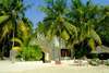 Nika Island Resort 